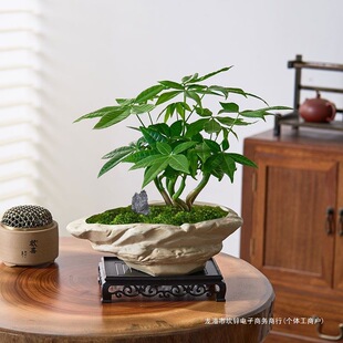 �lؔ�������҃��辰�Gֲ�͏d�����ļ�������B���w�b�ֲ��[��