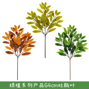 �羳������N�~ ��c�ϙ�֦�����N�~�߶˷���Gֲ�� �ٻ��~��