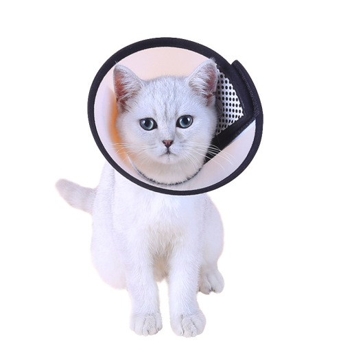Amazon Pet Elizabethan Collar for Cats and Dogs, Anti-Licking and Biting Collar, Pet Beauty Headgear, Dog Neck Collar, Wholesale