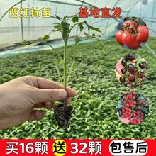 ������N�Ӵ����t���N�Ѳ��������߲���С��������ǧ���}Ů������