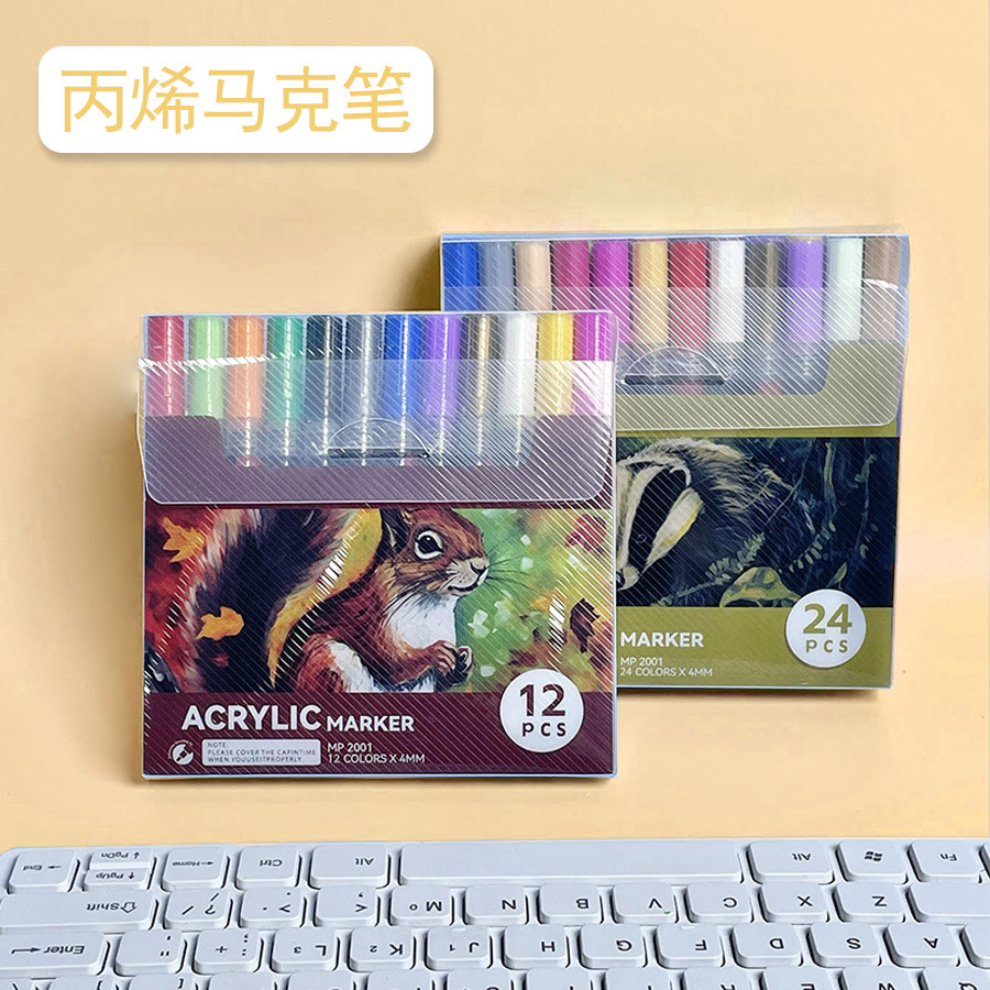 小红书同款ins丙烯马克笔防水不掉色莫兰迪写字唱片绘画笔涂鸦diy