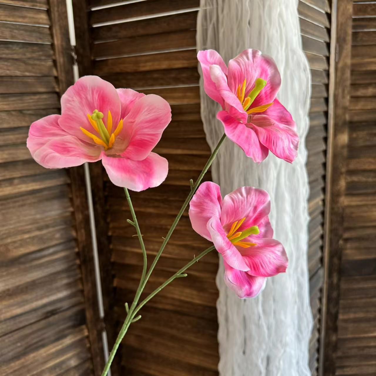 로즈 레드