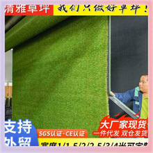 ?��ƺ���ϵ�̺�ٲ�Ƥ�׃��@������ܵ���������|�˹������