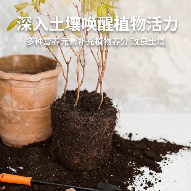 商品图