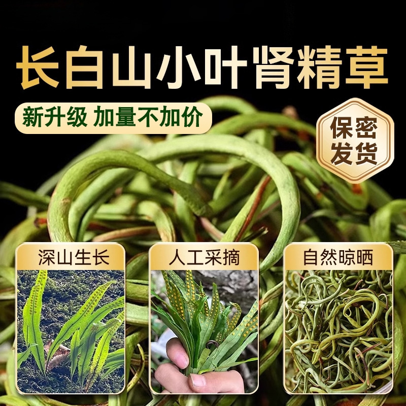 長白山野生腎精草本物の長白山強力な天然金化石草サプリメント雄陽草卸売|undefined