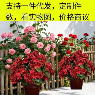 �羳���Ļ����ÿ��tɫ���滨���S�Ҿ��b��辰�[���ٻ��Gֲ���l