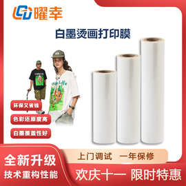 高品质现货A1烫画膜双面冷热撕DTF膜60厘米抖粉膜耗材跨境烫金