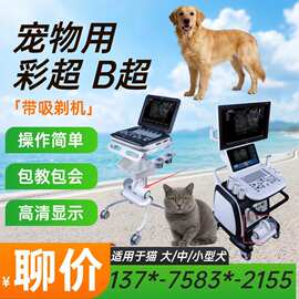 异宠用兽用彩超机 适配兔子蜥蜴鸟类检查 爬宠心脏及腹部超声诊断