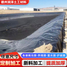 复合土工膜耐穿刺HDPE防渗膜工程养殖膜污水池黑色沼气池黑膜