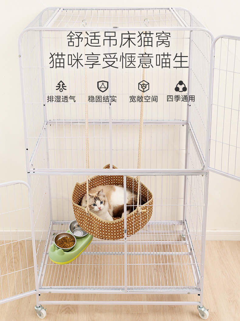 详情的