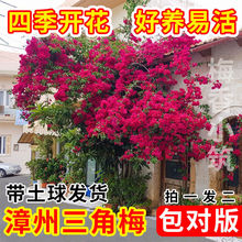 �ڻ����������÷�ļ��_�����������ذ��ͺ�ͥԺ�̨