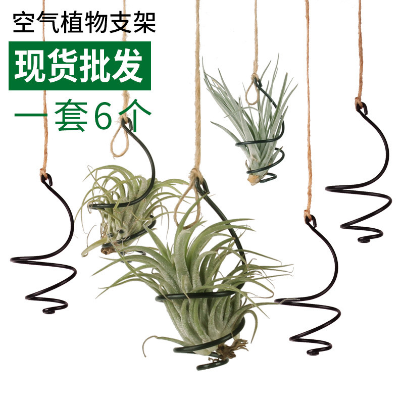 Factory wholesale metal small swirl air plant bracket air pineapple flower pot soilless plant aerial pendant