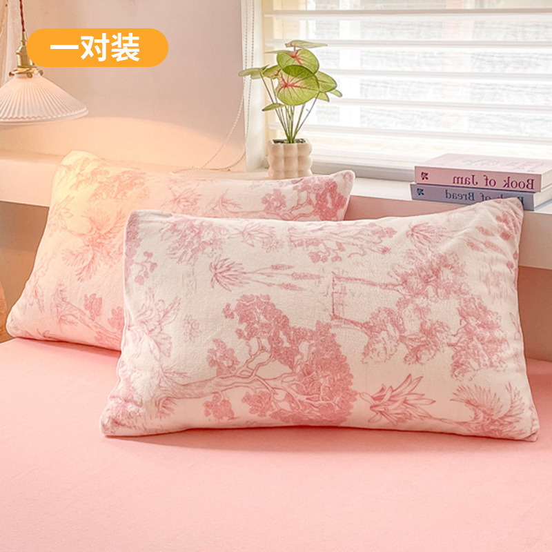 Funda de almohada de terciopelo de leche de invierno, un par de fundas de almohada de terciopelo de coral grueso, una sola funda de revestimiento de núcleo de almohada para niños 48x74 2