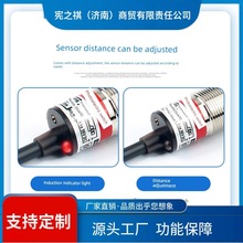 ԃ~���ⷴ������ʽ����_�P�h���x20m���{NPN�t���R�淴��Б���