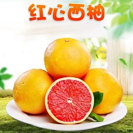 代用/养生茶;苹果;橙