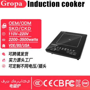 Induction Cooker Household Multi-Function High Power 110V-220V/Cross-Border Export Processing