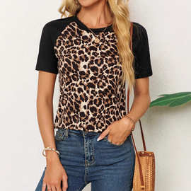 亚马逊欧美标码爆款夏季新款印花圆领套头淑女短袖T恤