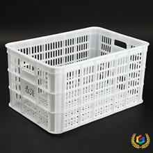 ?���l������Ͽ����D���L���μӺ��߲�ˮ�����\ݔ�u�����ռ{����