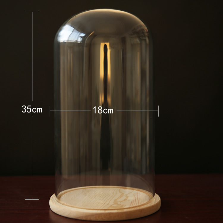 Fábrica eterna flor cubierta de vidrio creativo artesanía decoración transparente florero de cristal soporte varios tamaños