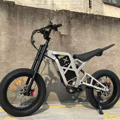MINAL's overseas best-selling high-speed off-road vehicle, a powerful electric motorcycle for all-terrain outdoor riding (Elektrikli motosikletlər) - silver-60v25ah