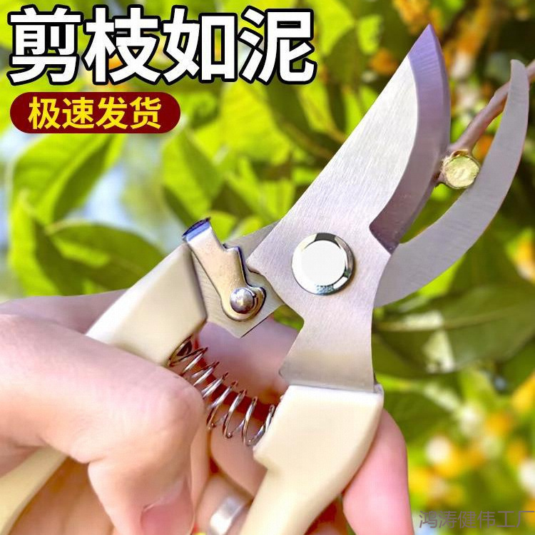 不锈钢树枝修枝剪采摘水果花木剪园林果树花卉枝嫁接园艺剪刀工具