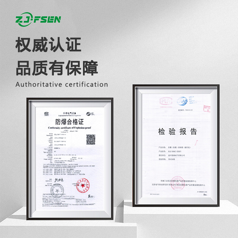 Fushen Stainless Steel Outdoor Explosion proof Distribution Box IP65 Non standard Customization