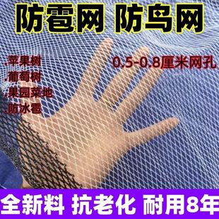�����W���@�r�÷������W���ё�����B�W�������W�S��ֱ�N���l