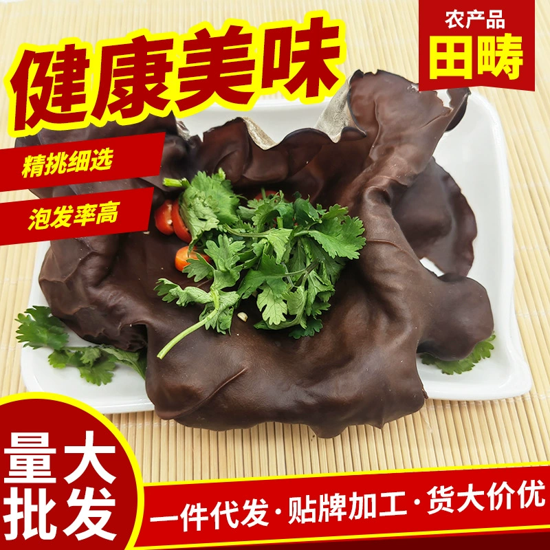 Ферма гриб завод оптом грибок Белая спина грибок оптом хрустящее мясо толстые ломтики большой вкус хрустящий