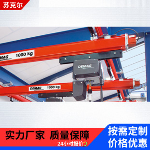 DEMAG���R��늄Ӻ��Jϵ��250KG500KG�Wʽ�h��p�͵��C��ȫ����