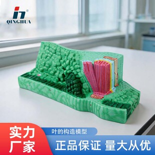 ���A�~����ģ�ͳ�����ֲ��Ŵ�չʾ����ģ������̌W�x���������