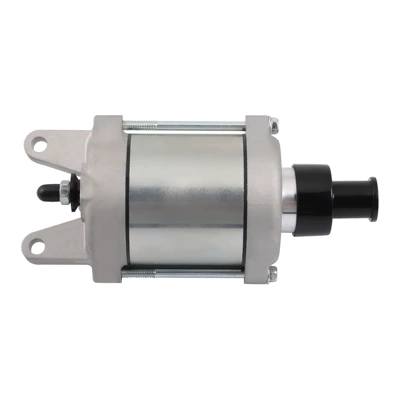 9t Gear Factory Direct Supply Motorcycle Starter Motor Model: Ninja 300 Ex300 (Starter and accessories)