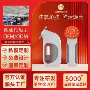 Tingyan's Same Model Oxygen Injection Device for Facial Hydration Essence Introduction, Home-Use Hydration Device, Handheld High-Pressure Nano Sprayer