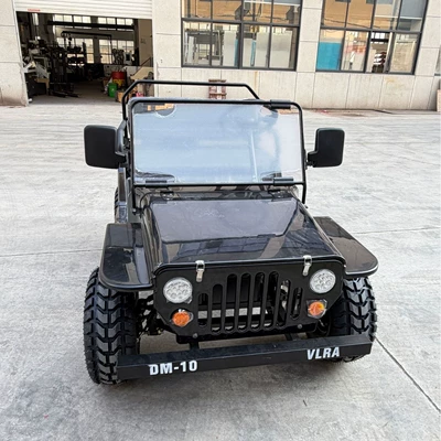 vehicle, direct factory sales, Elektrikli motosikletlər