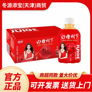 �ڷ�ɽ高���ɽ髹�֭���350ml*15ƿ/���_θɽ髹�֭�����ͶY