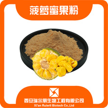 菠萝蜜果粉 菠萝蜜果汁粉 瑞尔丽生物量大从优菠萝蜜喷雾干燥果粉