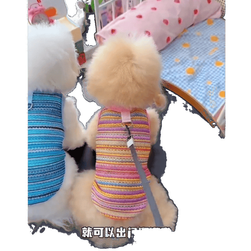 Ropa de perros de mascotas de verano delgada con hebilla de tracción arco iris trenzado chaleco agujero Teddy Bear Boomerang ropa