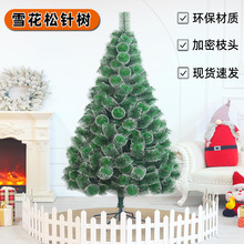 �羳ѩ������ʥ����ʥ����װ��Ʒ�Ƶ��̳���������petմ�׷�����