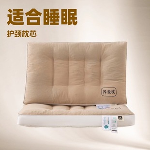 Cervical Pillow Single Pillow for Cervical Spine Protection for Sleep Pillow Core Two-in-One 5-Zone Buckwheat Feather Silk Neck Protection