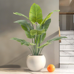 ���W�L������ �߶��p�ݷ���ֲ�����˽��͏d���Ԕ[���@���쾰ֲ��