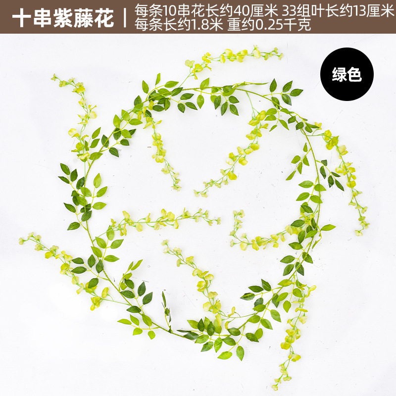 등나무-녹색 10 현