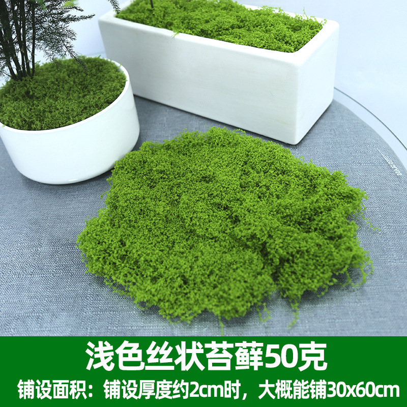 仿真苔藓绿色假青苔背景装饰 植物墙草坪微景观仿真苔藓草皮青苔|undefined