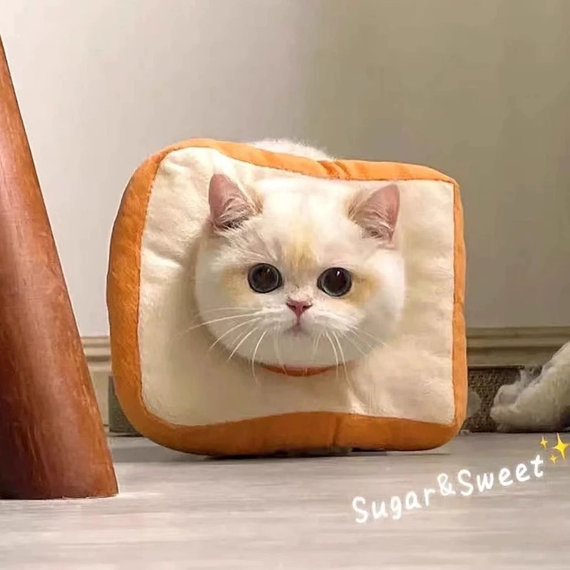 Ошейник для стерилизации котят с личинкой Елизаветы, мягкий регулируемый и съедобный ошейник для кошек и собак, предотвращающий лизание и укусы.