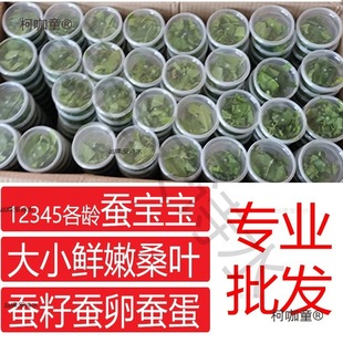 �Q����ɣ�~ι�Q���rɣ�~�Q��1234�g��Ȼ���߲ʌW���B�Q���b��̫��