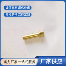 余姚厂家批发电源线铜针4.8电源插头插脚内架插针带螺纹高温耐压