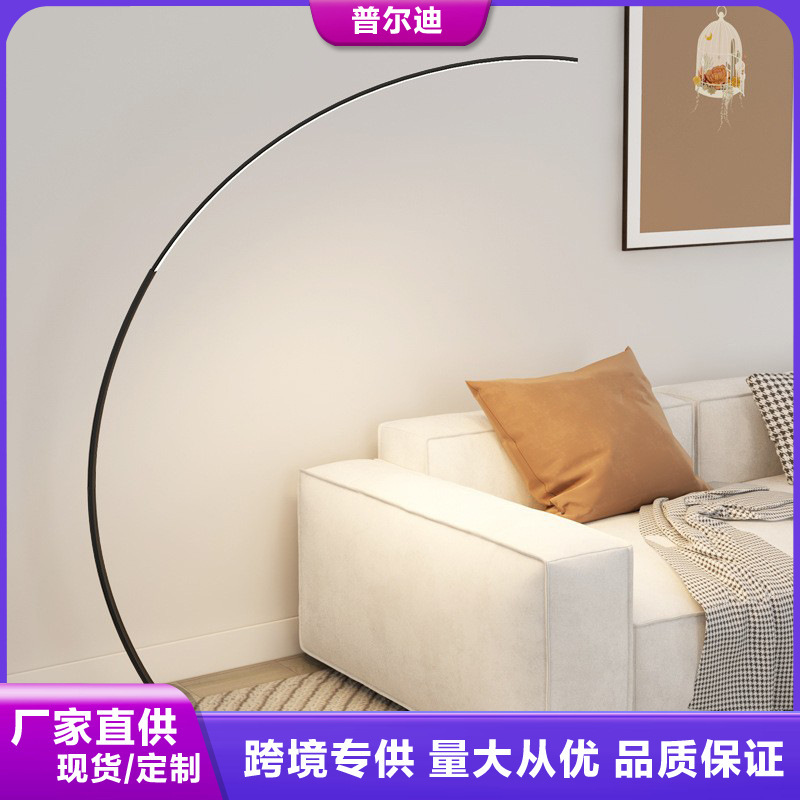 Amazon Cross-Border Floor Lamp Living Room Sofa Art Model Room Creative Normcore Led Eye Protection Curved Fishing Lamp