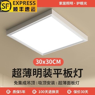 Lei Shiji Surface-Mounted Led Panel Light 600X600 Ceiling Light 300X600 Gypsum Board Cement Ceiling Integrated Ceiling