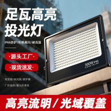 ����LEDͶ�������50W100W200W�߹�Ч�����ˮ���̷����Դ�^���S