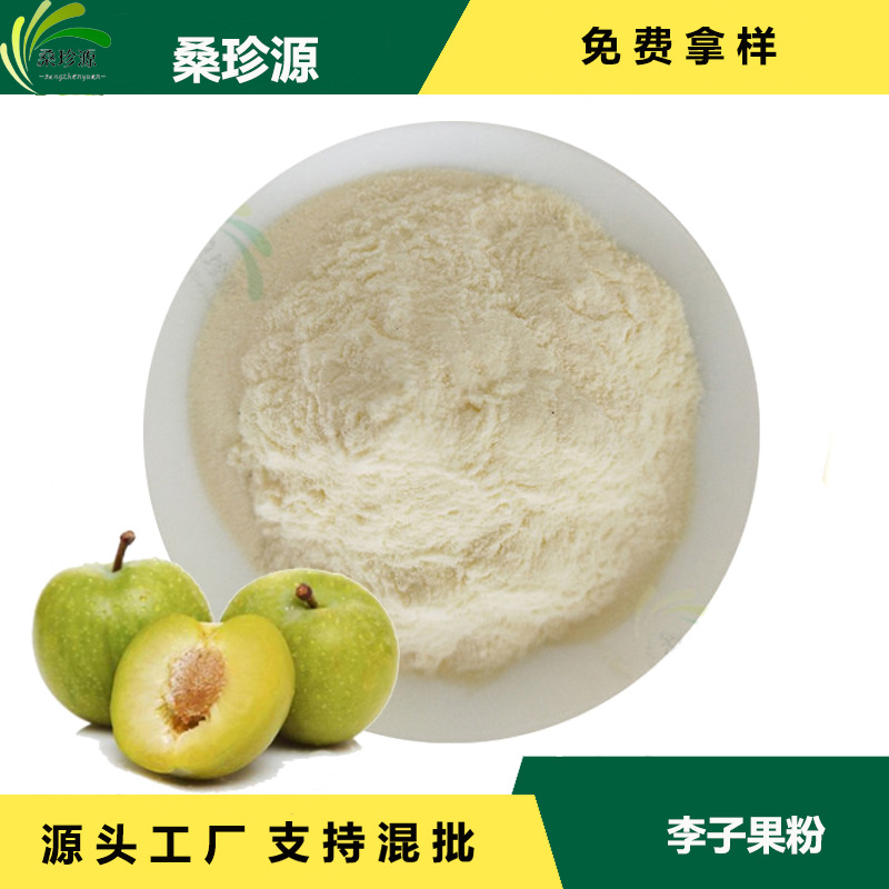 现货供应李子果粉  原料李子果汁粉 固体饮料李子粉现货批发