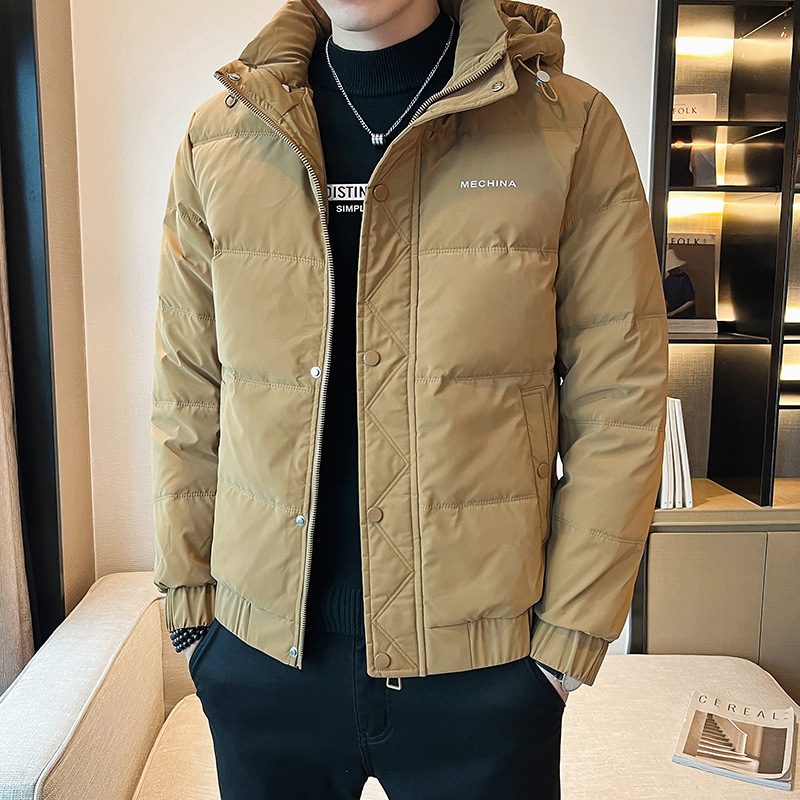 낙타