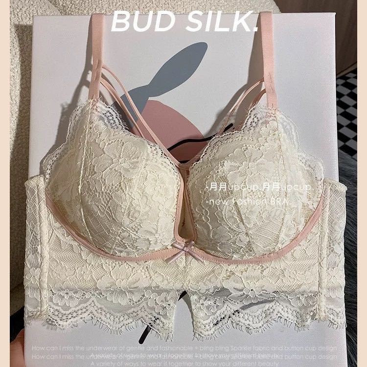Ventas directas de fábrica comercio electrónico transfronterizo Sudeste de Asia Vietnam Tailandia damas burbujas encaje pecho pequeño recogido sujetador Tovin